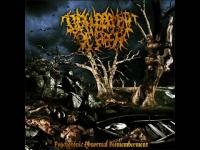 Disfigurement Of Flesh -  Pulverizing Limbs