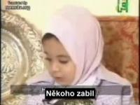 Muslimská propaganda