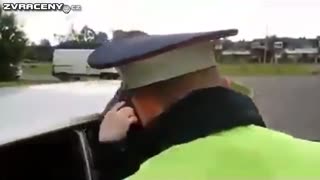 Silniční kontrola...