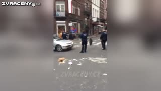 Turci řádí v evropských ulicích