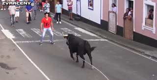 Člověk vs býk - kompilace