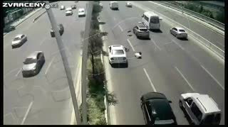 magor přebíhá dálnici
