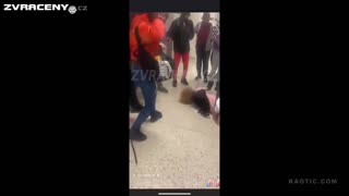 Studentka Vs. Učitelka
