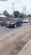 Cvok ničí auto