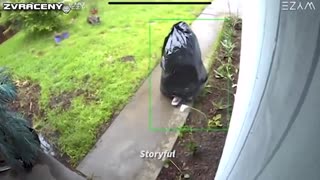 Zloděj balíků, Kalifornie