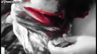 Rozřízlé držky (Kompilace)