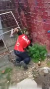 Imigrant se nevychčije