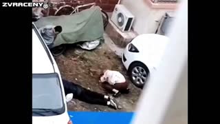 Život je děvka (Kompilace)