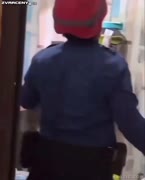 Ještěr v domě