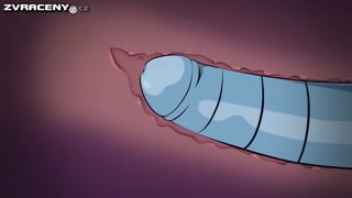 Animovaný koutek vol.13
